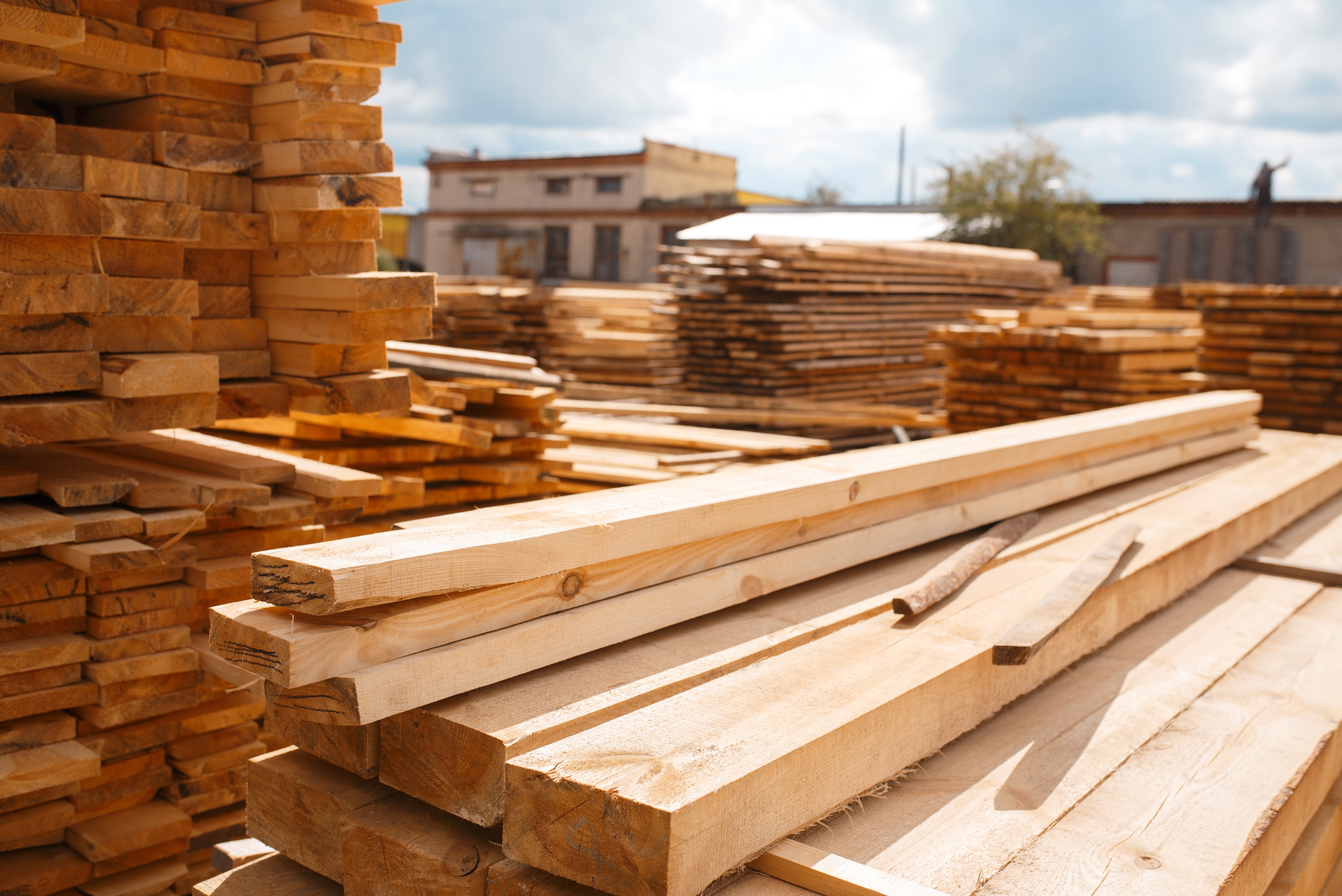 Sawn and Sorted